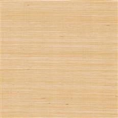 GV0111NW - Grasscloth And Natural Resource Maguey Sisal