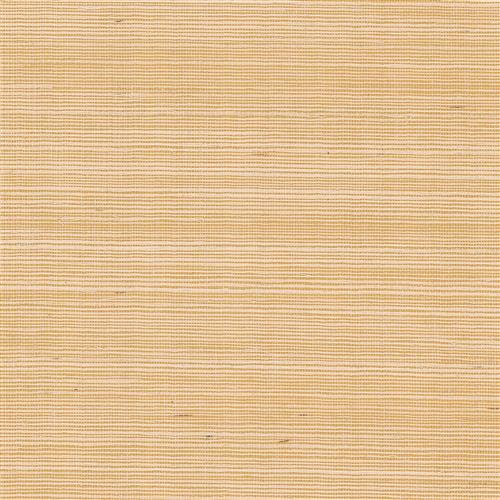 GV0111NW - Grasscloth And Natural Resource Maguey Sisal