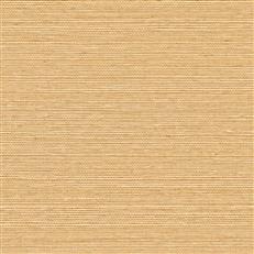 GV0112NW - Grasscloth And Natural Resource Maguey Sisal