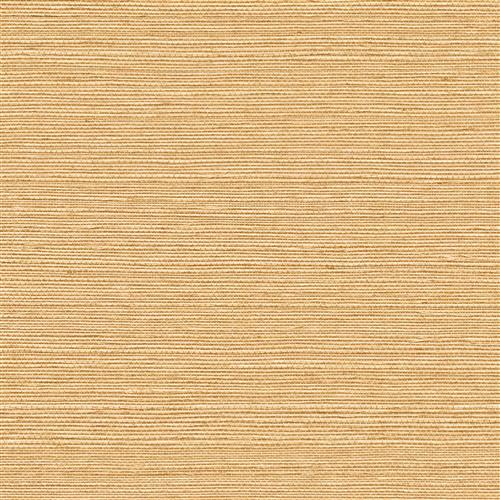 GV0112NW - Grasscloth And Natural Resource Maguey Sisal