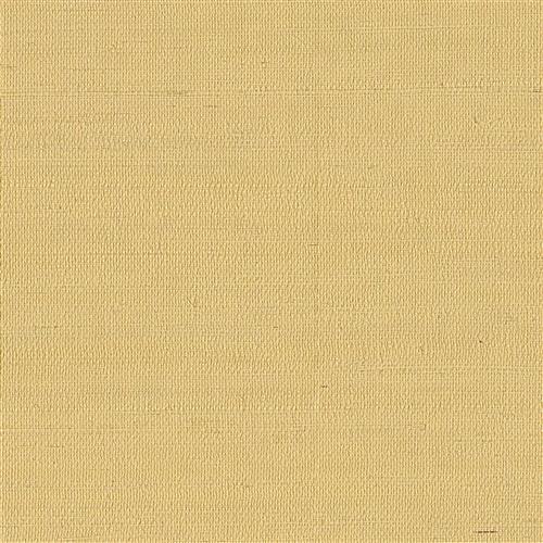 GV0113NW - Grasscloth And Natural Resource Maguey Sisal