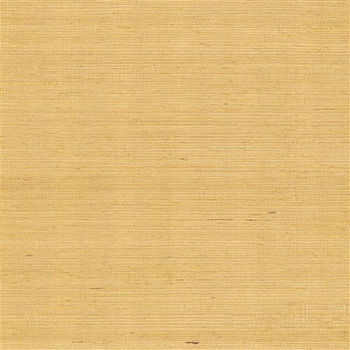 GV0114NW - Grasscloth And Natural Resource Maguey Sisal