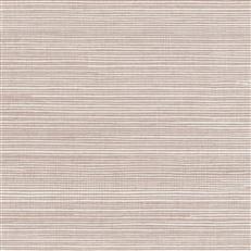 GV0124NW - Grasscloth And Natural Resource Maguey Sisal