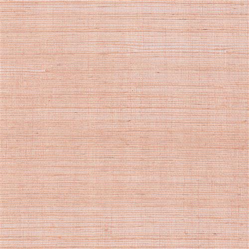 GV0127NW - Grasscloth And Natural Resource Maguey Sisal