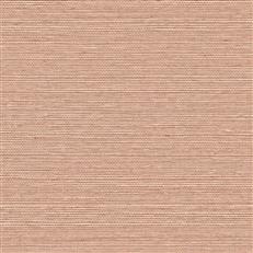 GV0128NW - Grasscloth And Natural Resource Maguey Sisal