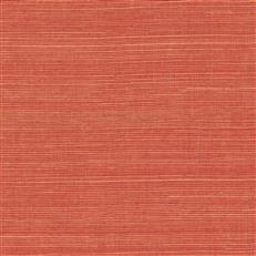 GV0131NW - Grasscloth And Natural Resource Maguey Sisal