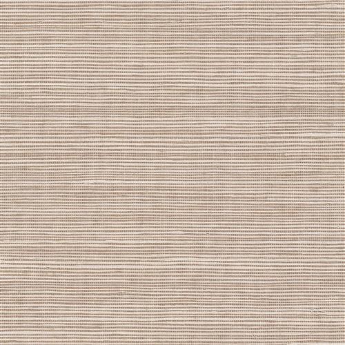 GV0138NW - Grasscloth And Natural Resource Maguey Sisal