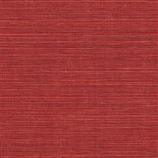 GV0141NW - Grasscloth And Natural Resource Maguey Sisal
