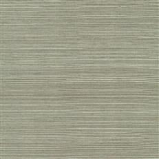 GV0144NW - Grasscloth And Natural Resource Maguey Sisal