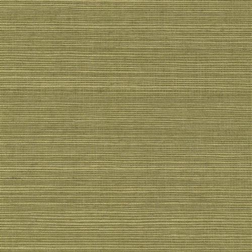 GV0145NW - Grasscloth And Natural Resource Maguey Sisal