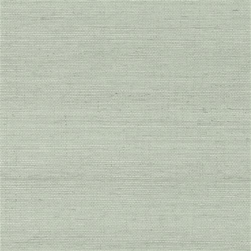 GV0167NW - Grasscloth And Natural Resource Maguey Sisal