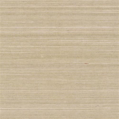 GV0176NW - Grasscloth And Natural Resource Maguey Sisal