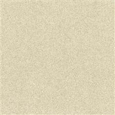 GV0212 - Grasscloth And Natural Resource Terra Mica