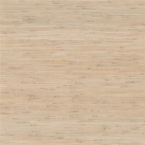 GV0231 - Grasscloth And Natural Resource Knotted Grass