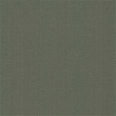 GV0261 - Grasscloth And Natural Resource Wicker Work
