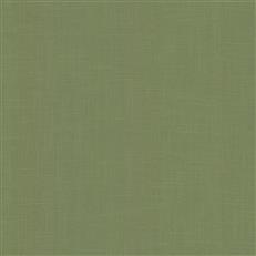 Ines - Lillian August - Green Tea