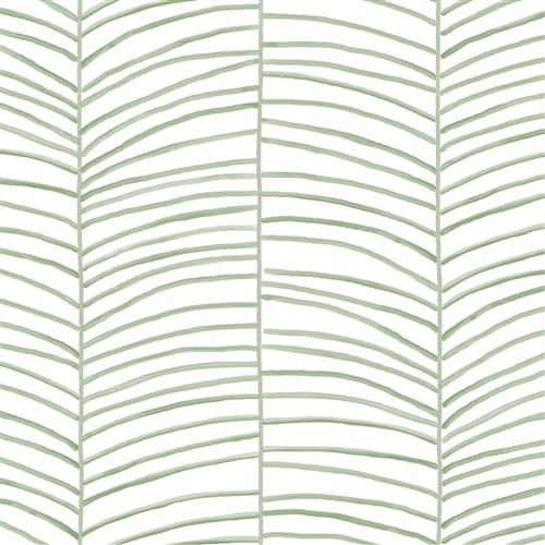 MT5674 - Montecito Wallpaper Cascade Palm Chevron
