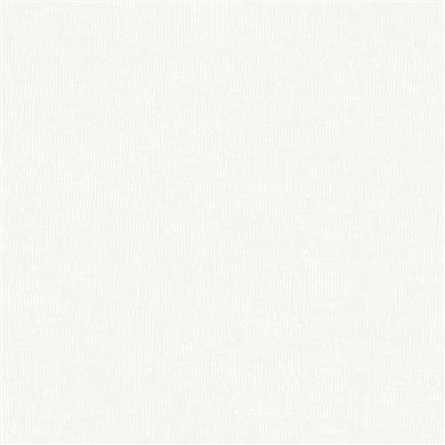 MT5662 - Montecito Wallpaper Trabadillo Plaster
