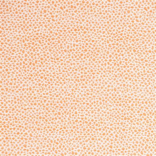 cheetah-outdoor-tangerine