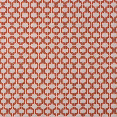 Inside Out-Alaia-Coral Fabric